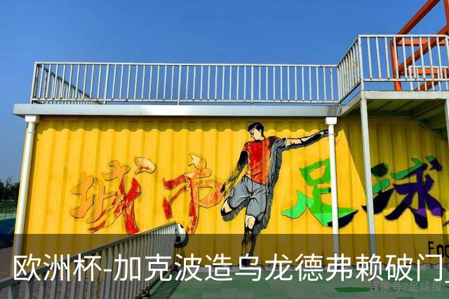 欧洲杯-加克波造乌龙德弗赖破门 荷兰2-1土耳其